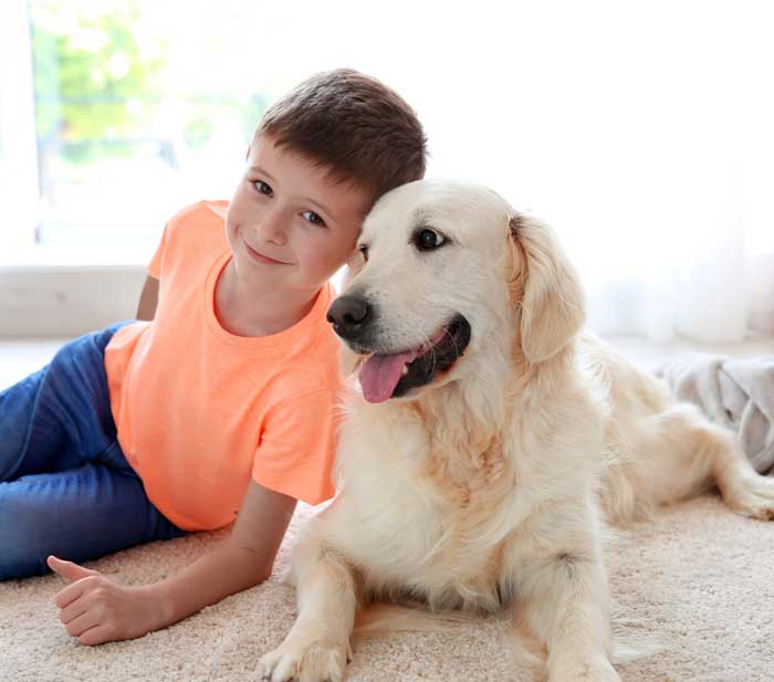 Keeping pets safe during professional pest control treatments today