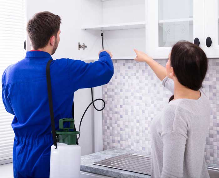 Scheduling quarterly pest control for dependable year-round protection