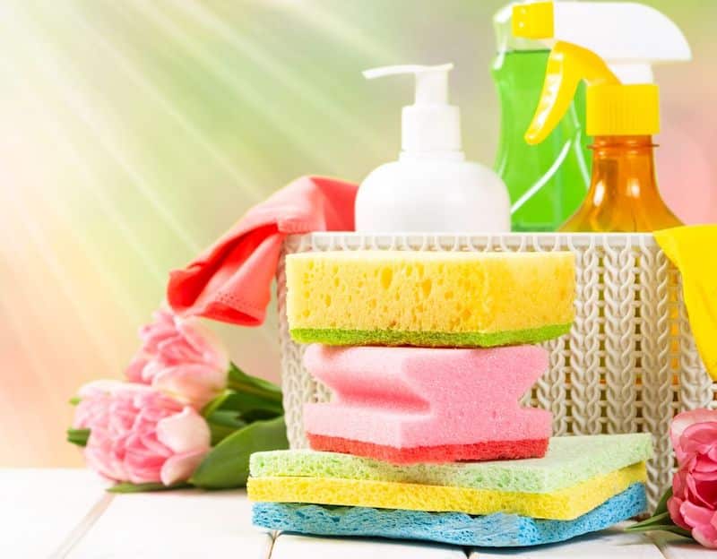 Combining spring cleaning with pest prevention for healthier homes