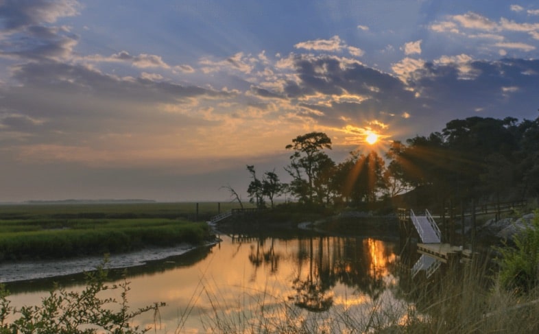 Providing dependable pest control for coastal island communities