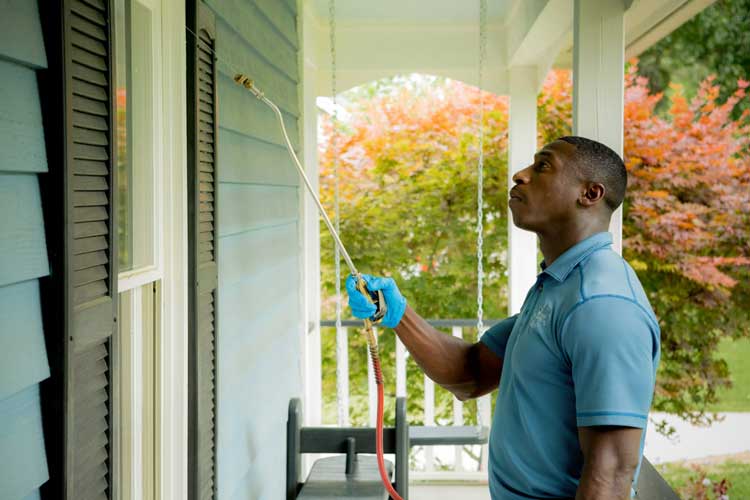 Protecting plants while applying professional pest control treatments