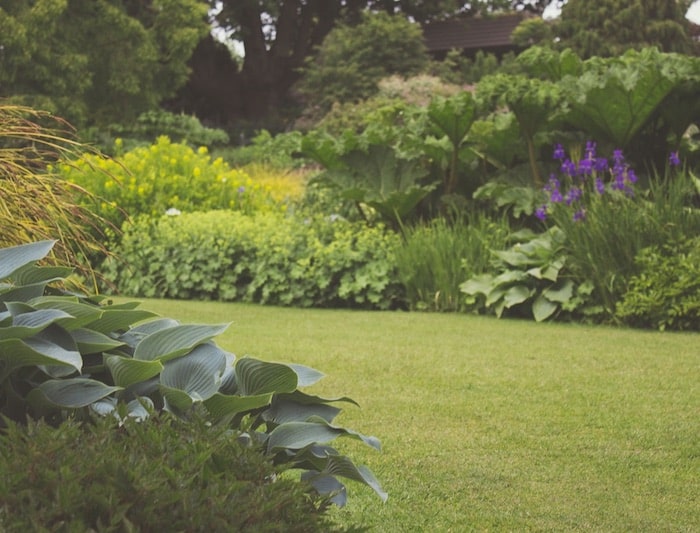 Protecting gardens from destructive leaf eating insects naturally