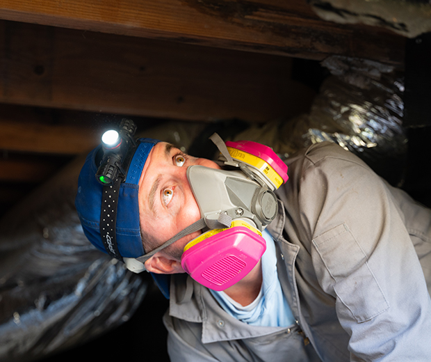 Serving communities with professional pest control across the region