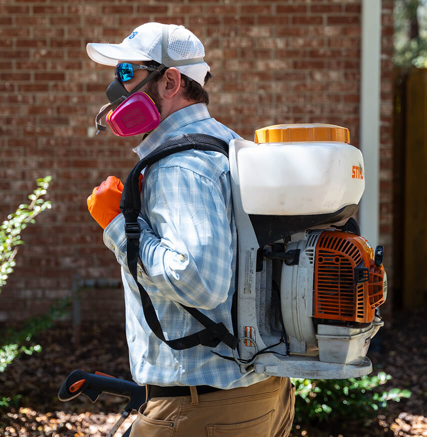 Protecting Isle of Palms homes with reliable pest control today
