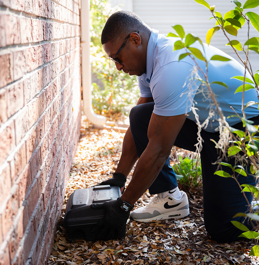 Keeping James Island SC homes protected from common pests today