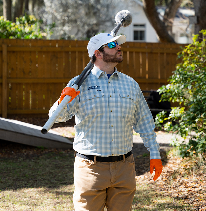 Protecting homes with pest control in Mount Pleasant SC today