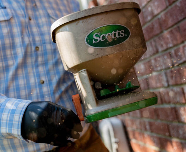 Supporting local businesses with dependable pest management services