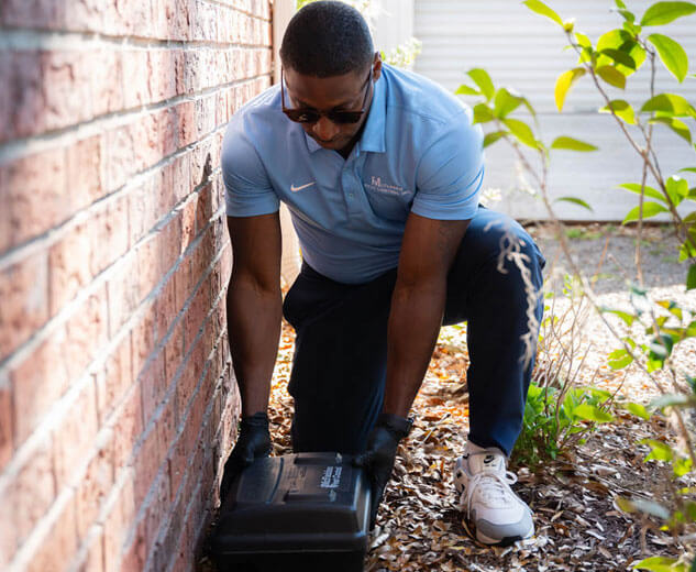 Preventing rodent infestations with reliable exclusion methods