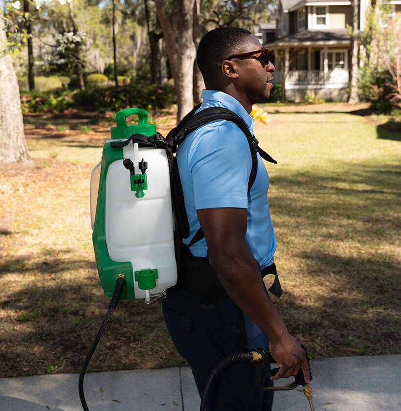 Protecting homes with pest control services in Summerville SC